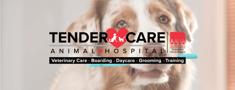 Business Banner