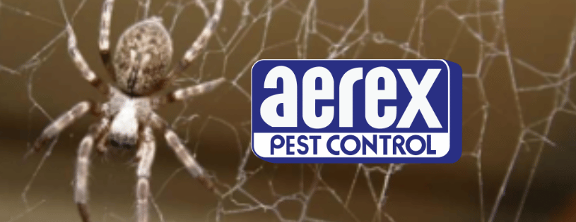 Business Banner