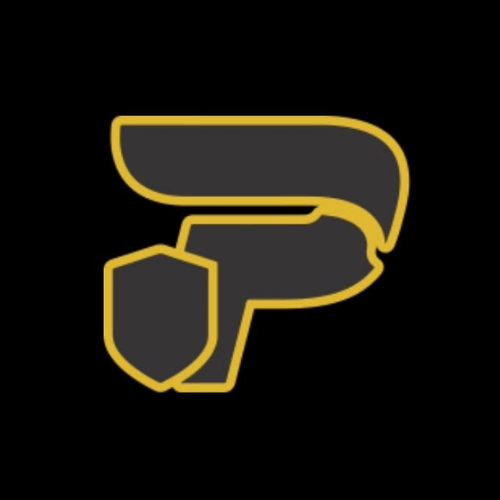 Platinum Plumbing logo